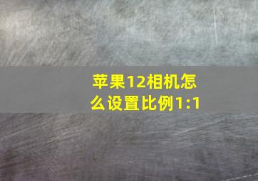 苹果12相机怎么设置比例1:1