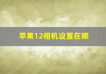 苹果12相机设置在哪