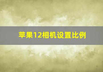 苹果12相机设置比例