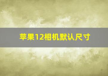 苹果12相机默认尺寸