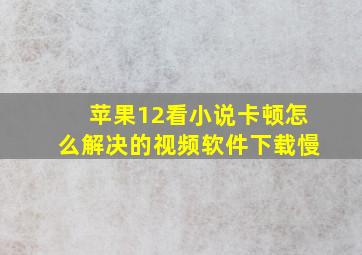 苹果12看小说卡顿怎么解决的视频软件下载慢