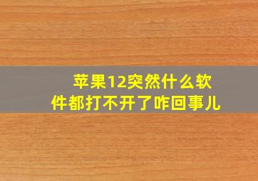 苹果12突然什么软件都打不开了咋回事儿