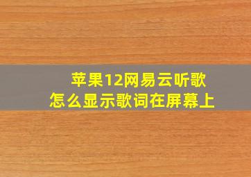 苹果12网易云听歌怎么显示歌词在屏幕上