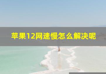 苹果12网速慢怎么解决呢