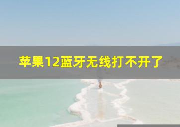 苹果12蓝牙无线打不开了