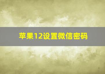 苹果12设置微信密码