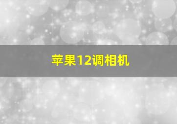 苹果12调相机