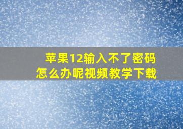 苹果12输入不了密码怎么办呢视频教学下载