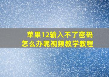 苹果12输入不了密码怎么办呢视频教学教程