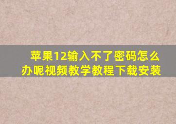 苹果12输入不了密码怎么办呢视频教学教程下载安装