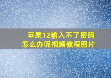 苹果12输入不了密码怎么办呢视频教程图片