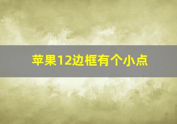 苹果12边框有个小点