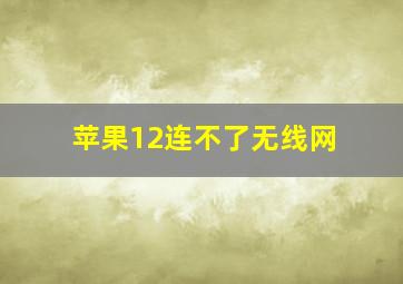 苹果12连不了无线网