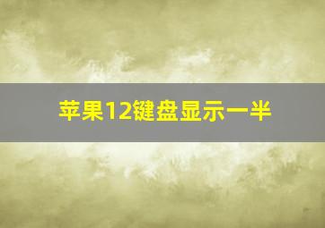 苹果12键盘显示一半