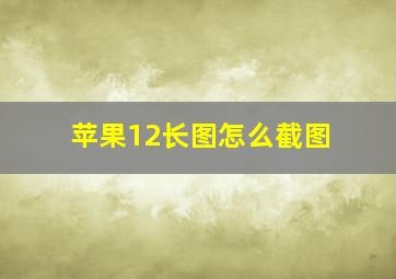 苹果12长图怎么截图