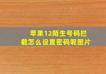 苹果12陌生号码拦截怎么设置密码呢图片