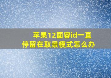 苹果12面容id一直停留在取景模式怎么办