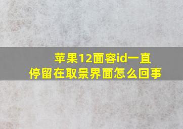 苹果12面容id一直停留在取景界面怎么回事