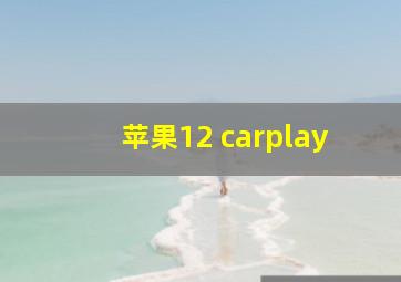 苹果12 carplay