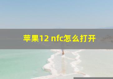 苹果12 nfc怎么打开