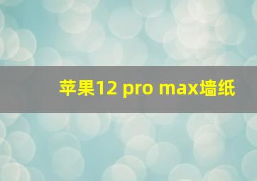 苹果12 pro max墙纸