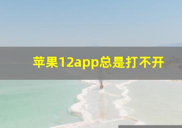 苹果12app总是打不开