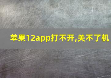 苹果12app打不开,关不了机