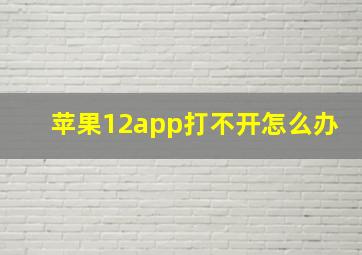 苹果12app打不开怎么办