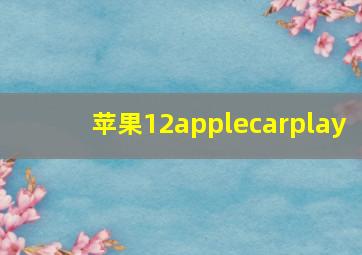 苹果12applecarplay