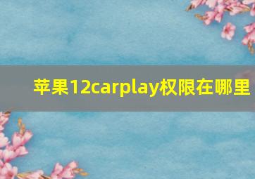 苹果12carplay权限在哪里