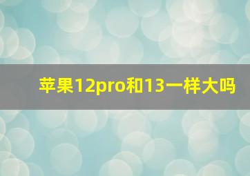 苹果12pro和13一样大吗