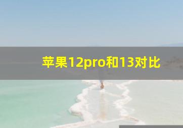 苹果12pro和13对比