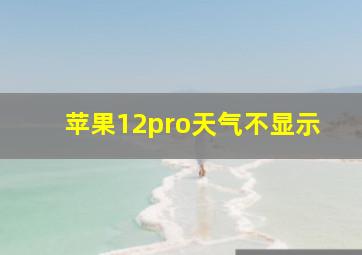 苹果12pro天气不显示