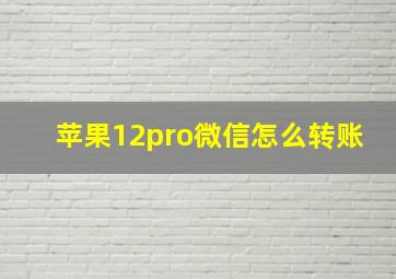 苹果12pro微信怎么转账