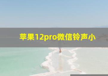 苹果12pro微信铃声小