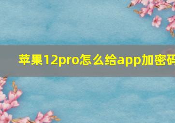 苹果12pro怎么给app加密码