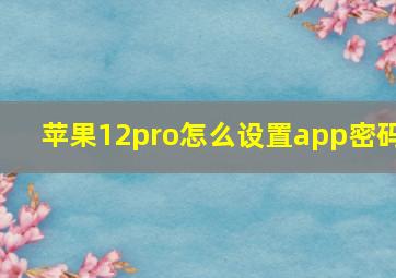 苹果12pro怎么设置app密码