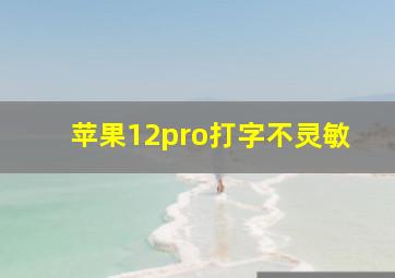 苹果12pro打字不灵敏