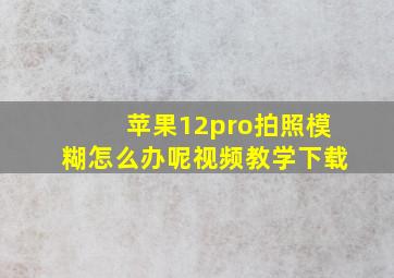 苹果12pro拍照模糊怎么办呢视频教学下载