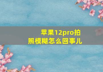 苹果12pro拍照模糊怎么回事儿