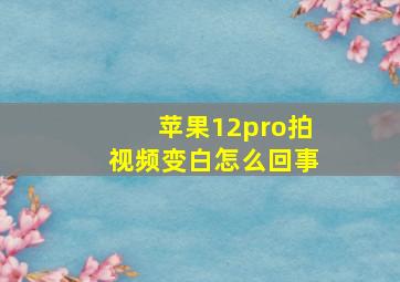 苹果12pro拍视频变白怎么回事