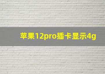 苹果12pro插卡显示4g