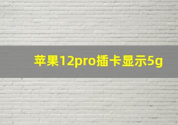 苹果12pro插卡显示5g