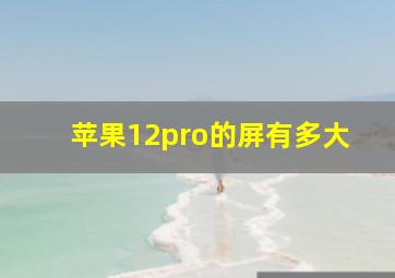 苹果12pro的屏有多大