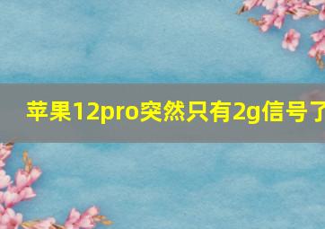 苹果12pro突然只有2g信号了