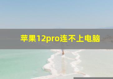 苹果12pro连不上电脑