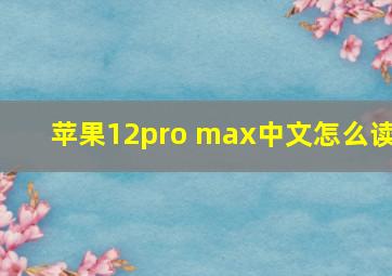 苹果12pro max中文怎么读