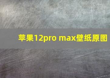 苹果12pro max壁纸原图