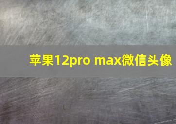 苹果12pro max微信头像