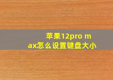 苹果12pro max怎么设置键盘大小